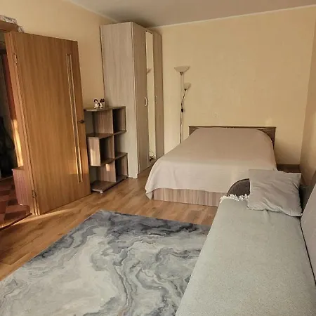 Near The Center And Airport