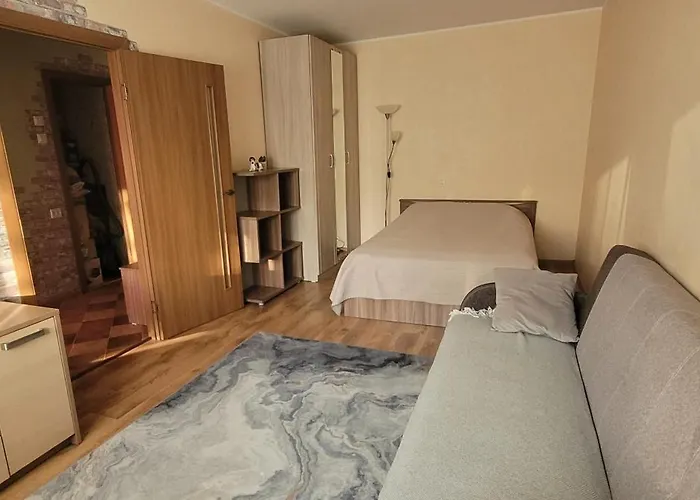 Near The Center And Airport